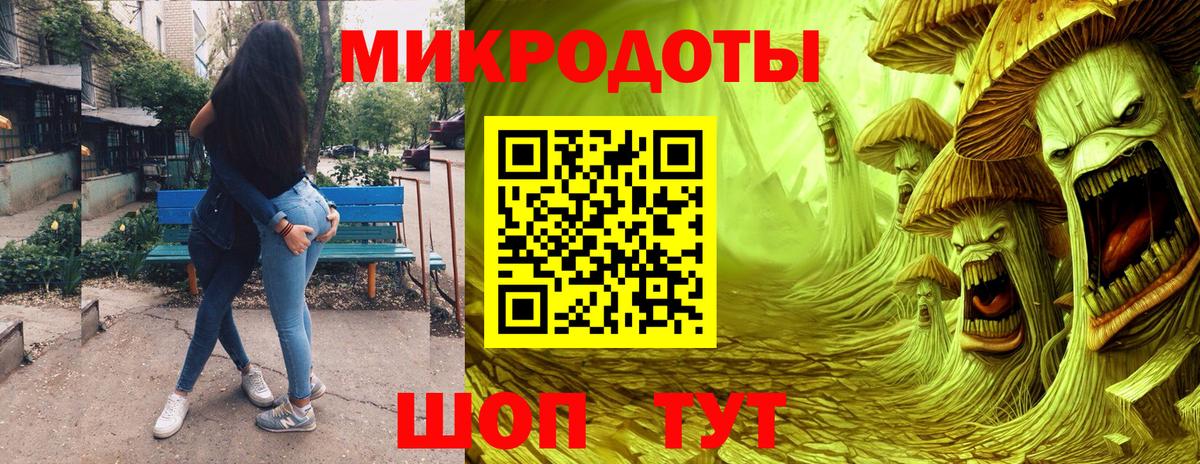 Псилоцибиновые грибы Psilocybe Ковров