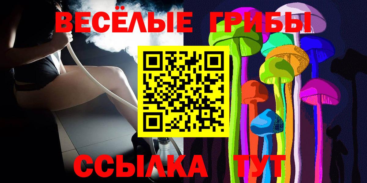 Галлюциногенные грибы Cubensis  Вход с VPN  Ковров 